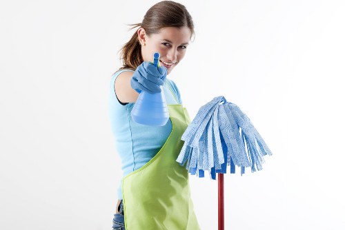 Professional oven cleaning service in a W5 home kitchen