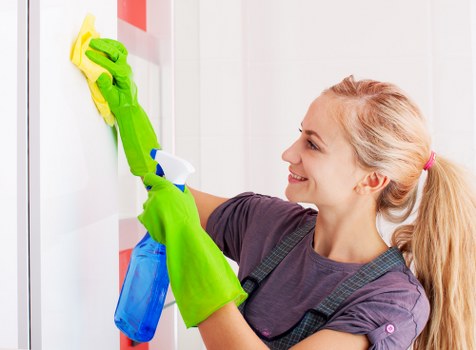 Local pet stain and odour removal service for carpets in W5