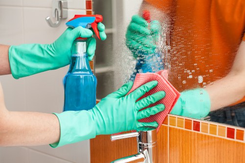 Professional regular cleaning service for W5 homes and flats