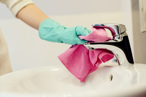 Deep cleaning equipment used for pet stain removal in W5