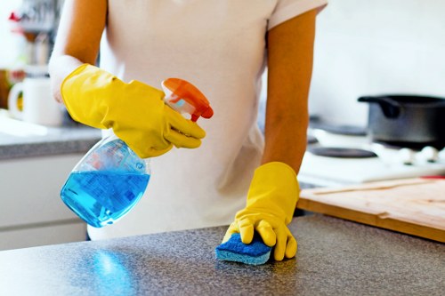 Deep cleaning of kitchen and bathroom areas during a W5 move-out clean