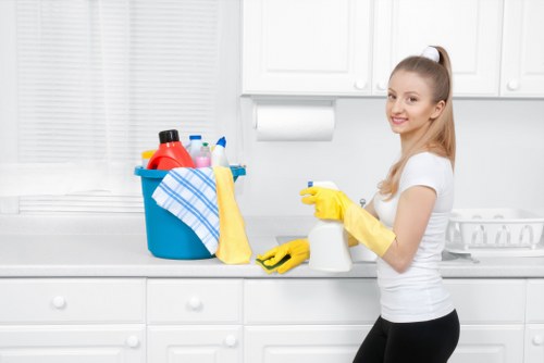 Local stain removal service for carpets and upholstery in W5 homes