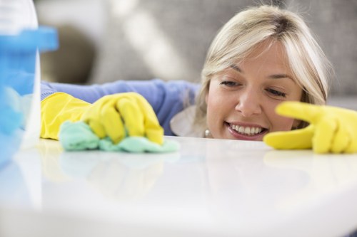 Local cleaner working in a W5 flat with practical access