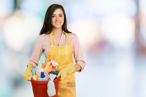 Regular house cleaning support for busy households in W5
