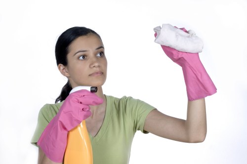 Professional cleaning service for properties in W5