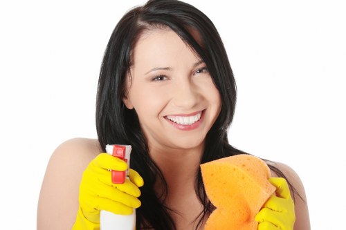 Deep cleaning in W5 for kitchens, bathrooms, and high-touch surfaces