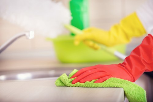 Domestic cleaning service covering W5 and nearby West London areas